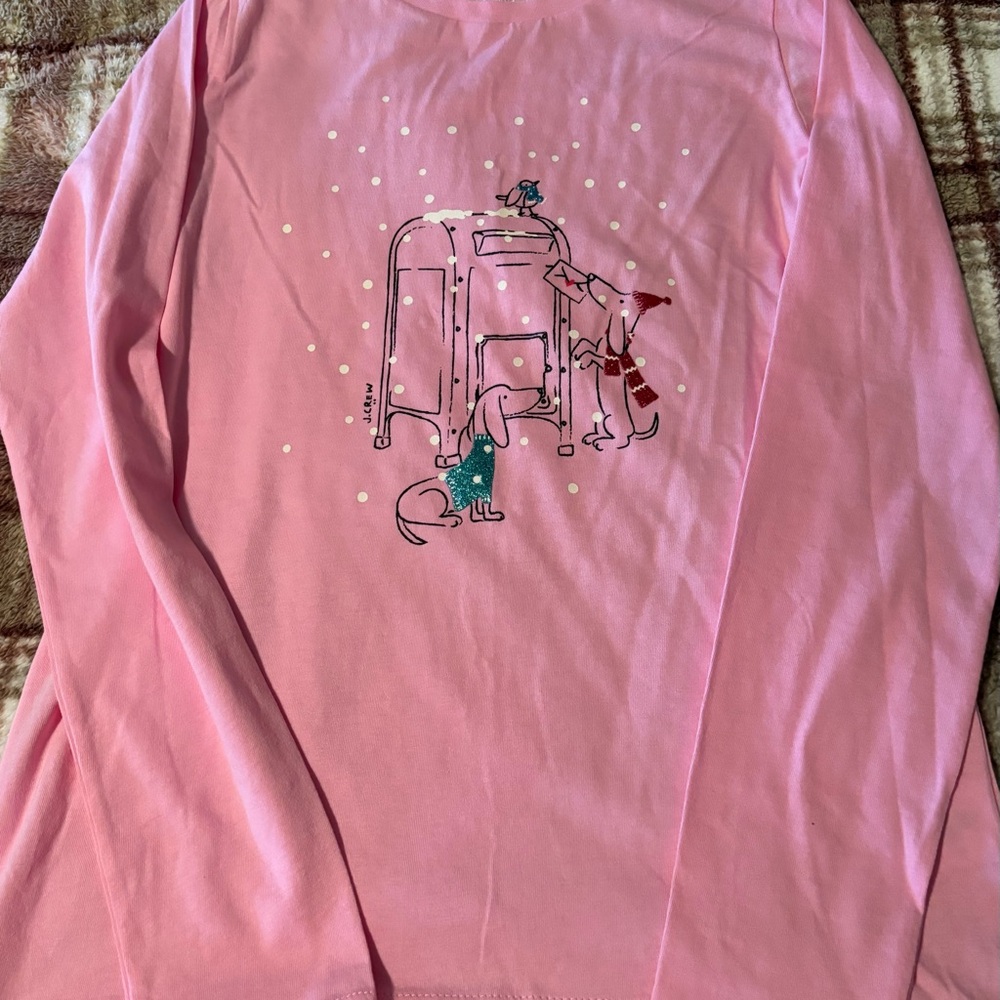 NWT J Crew/ Crew cuts Long Sleeve Graphic Tee $10